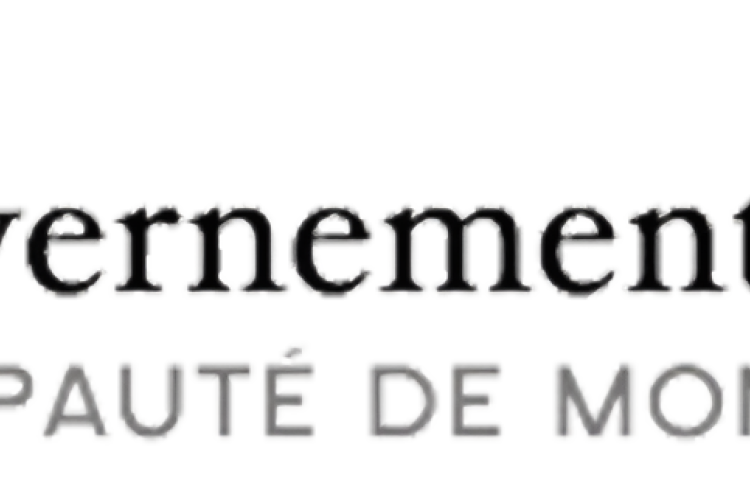 Gouvernement princier